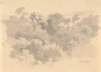 Vaux