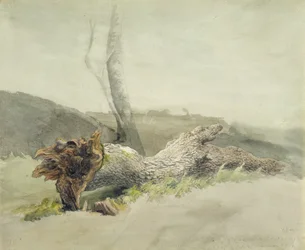 The Fallen Tree, n. 1804 (wc grafiitin päällä kudottupaperilla)