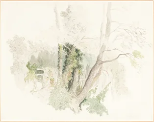 Puut Beddingtonissa
