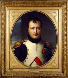Napoleon Bonaparten muotokuva, 1800-luku