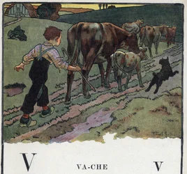Lastenkirja "" Luen - Isän menetelmällinen ja hauska aakkoset""" 1926. Kuvitus Robert Salles (1871-1929). Abecedary: V-kirjain lehmänä. Poika auttaa koiraa, ajaa lehmälauman peltoon.