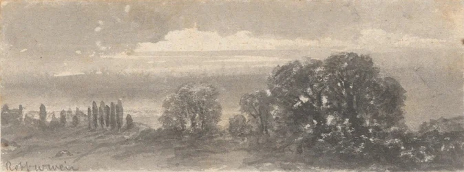 Maisema - puut