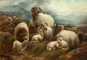 Lampaita maisemassa, 1894