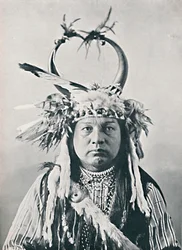 Amerikkalainen puhvelinsarvipäähine, 1912