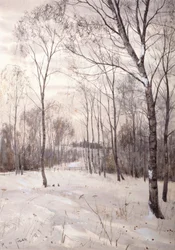 Talvinen metsä