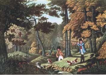 Fasaaniammuskelu Uxbridgen lähellä, Nature in Britain julkaisija Collins, 1946