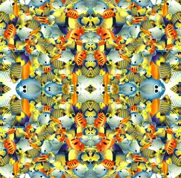 Kaleidoskooppi kala laatta