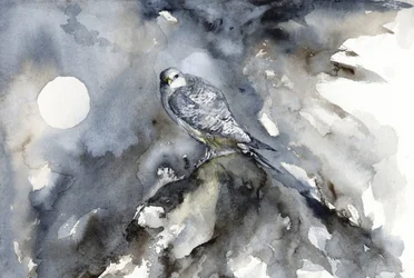 Kuunvalossa tapahtuva haukkahavainnointi