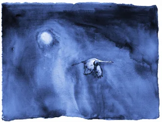 Solo Migration - Lumaprints