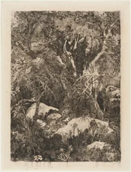 Fontainebleaun metsä