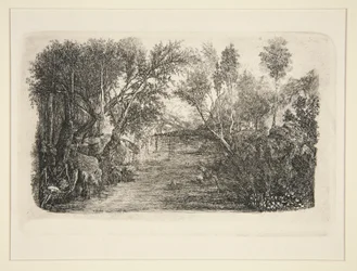 Virta