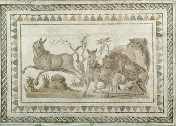 Tiikeri hyökkää kahden onagerin kimppuun, Dionyysisen kulkueen talosta, El-Jem (Thysdrus) (mosaiikki).