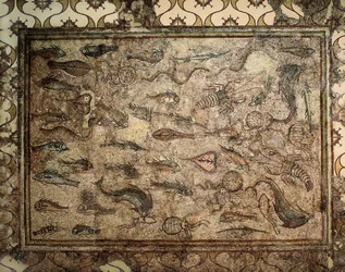 Roomalainen taide: kalojen mosaiikki. 3. vuosisadan alku. Tarragona. Kansallinen arkeologinen museo.