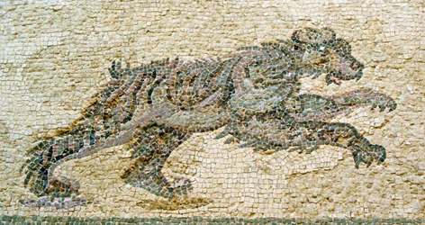 Metsästyskohtaus, yksityiskohta karhusta, Dionysoksen talo, Pafos, Kyproksen mosaiikki