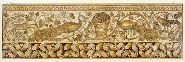 Mosaiikki, jossa on riikinkukkoja esittävä viiniköynnösköynnösreunus, Antiokia, 526-540