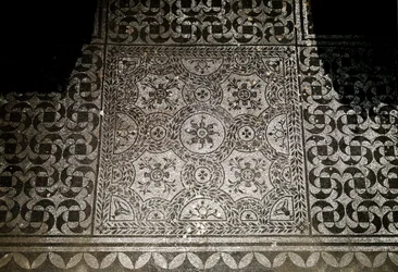 Roomalainen taide: yksityiskohta maan mosaiikeista Villa Adrianassa (Villa d