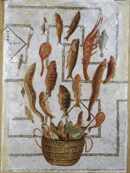 Kala pakenee korista