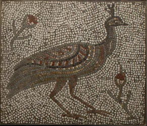 Mosaiikki, jossa on riikinkukko ja kukkia, 3.-4. vuosisata