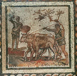 Kyntö ja kylvö. Mosaiikki (mosaiikki)