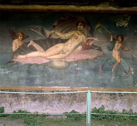 Venus lepää kuoressa. Venuksen talo, Pompei, Italia. Fresko.