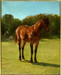Hevosen bai-kirsikkatutkimus. Rosa Bonheurin (1822-1899) maalaus