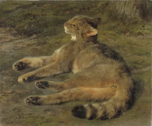 Villikissa, 1850
