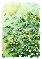 Green Meadow -kukat