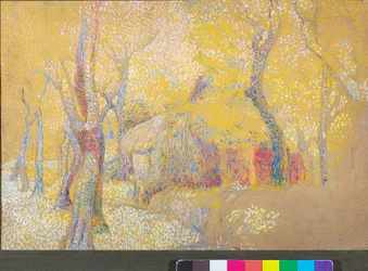 Navetta puissa, n. 1900-06