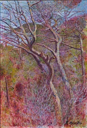 Maisema, studio, n. 1907