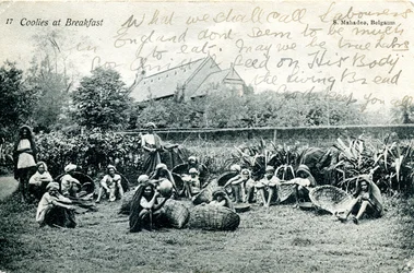 Coolies at breakfast, n. 1908 (m/w kuva)