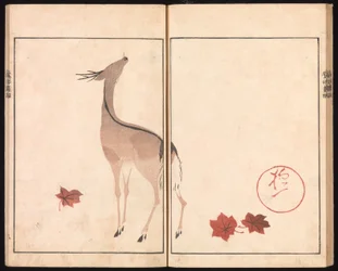 Ōsonin (Hōitsun) kuva-albumi (Ōson gafu)