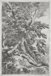 St. William the Hermit, n. 1662.