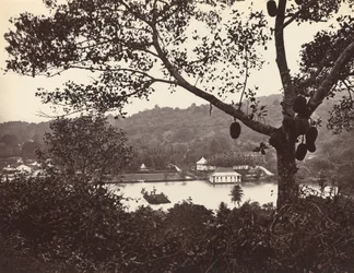 Kurkistus Upper Lake Roadilta, jossa näkyy temppeli ja saari puistoineen - hedelmäpuu etualalla, vuodelta 1865.