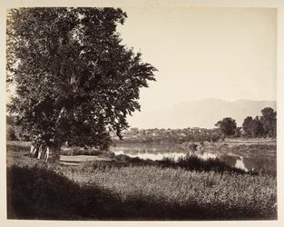Beej Bihara oli Jhelum