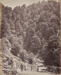 Shimla. Näkymä Mount Jakkon pohjoispuolelta
