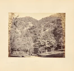 Simla; Jakko, "Oakoverista" (Yleisnäkymä Tongan tieltä).