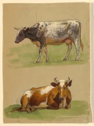 Piirros, Karja, lehmä kävelemässä ja lehmä kyyryssä, 1875-80