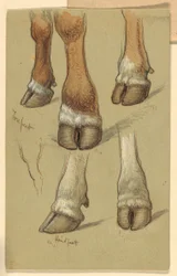 Piirustus, Tutkimuksia karjan jälkeen, 1871