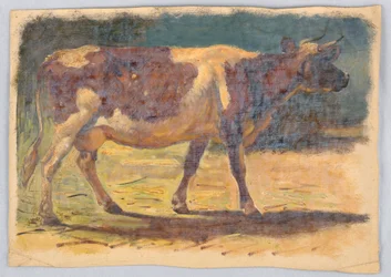 Piirtäminen, tutkimukset. Lehmät, elokuu 1876
