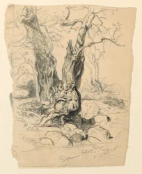 Piirtäminen, tutkimukset. Puut, 23. joulukuuta 1885