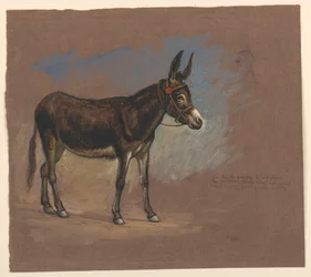 Piirustus, Tutkimus. Muuli, 1872-75