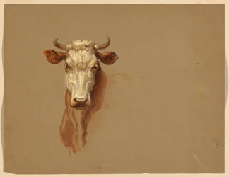 Piirustus, Kaksi tutkimusta.  Karja, 1876