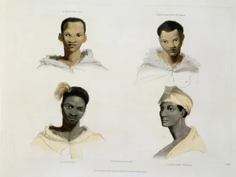Hottentott, hotentott nainen, kaffre, kaffren nainen: neljä pää- ja olkapäävinjettiä, levy 14 Afrikan maisemista ja eläimistä, taiteilijan kaiverrus, 1804 (akvatinta)