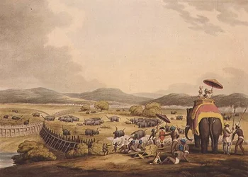 Driving Elephants Into A Keddah, "Oriental Field Sports", pub. Kirjailija: Edward Orme