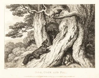 Kuko puussa pettää ketun, kun taas koira nukkuu. 1811 (etsaus)