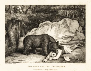 Turbaaniin pukeutunut matkustaja leikkii kuolleena karhun kimppuun. 1811 (etsaus)