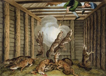 Amerikkalainen anekdootti: Shooting the Wolves, kaiverrettu Matthew Dubourg (fl.1785-1820) ja taiteilija, julkaisija Edward Orme, 1813