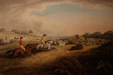 The Hog Chase - Across Fields, Ormen British Sporting Prints -kokoelmasta