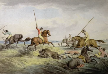 The Hog Chase - The Kill, Ormen brittiläisten urheilukuvien kokoelmasta, 1822