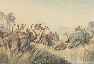 Ahdistettu tiikeri: kuvitus kapteeni Thomas Williamsonin teokseen "Oriental Field Sports"